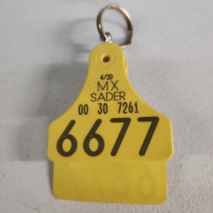 Cow Tag #6677