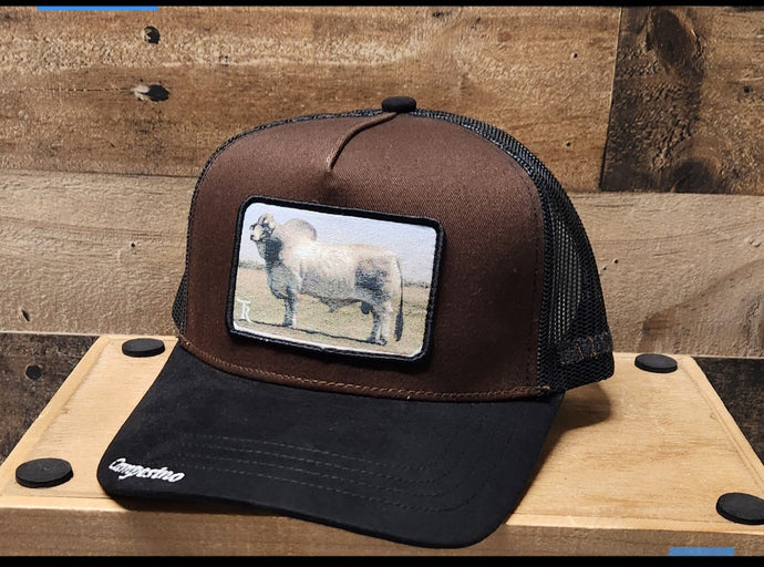 Campesino Cebu Bull - Black/Brown/Black