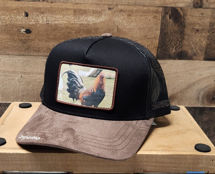 Campesino Gallo Giro - Brown/Black