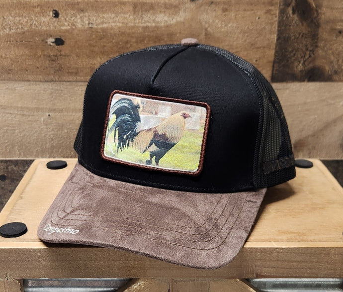 Campesino Gallo de Pelea - Brown/Black