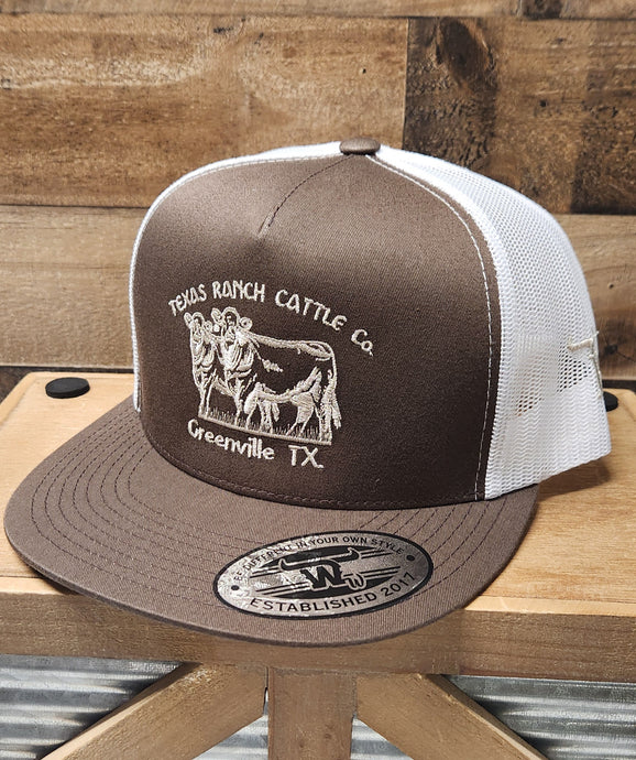 Texas Cattle - Brown/White