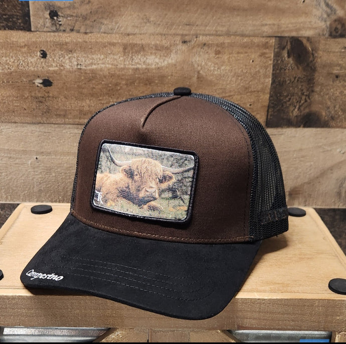 Campesino Long Horn Bull - Black/Brown/Black
