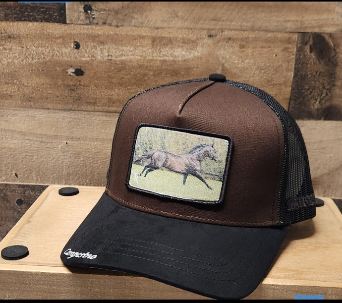 Campesino Tornado Horse - Black/Brown/Black