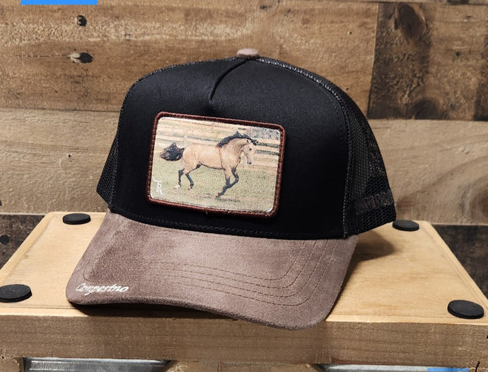 Campesino Apolo Horse - Brown/Black