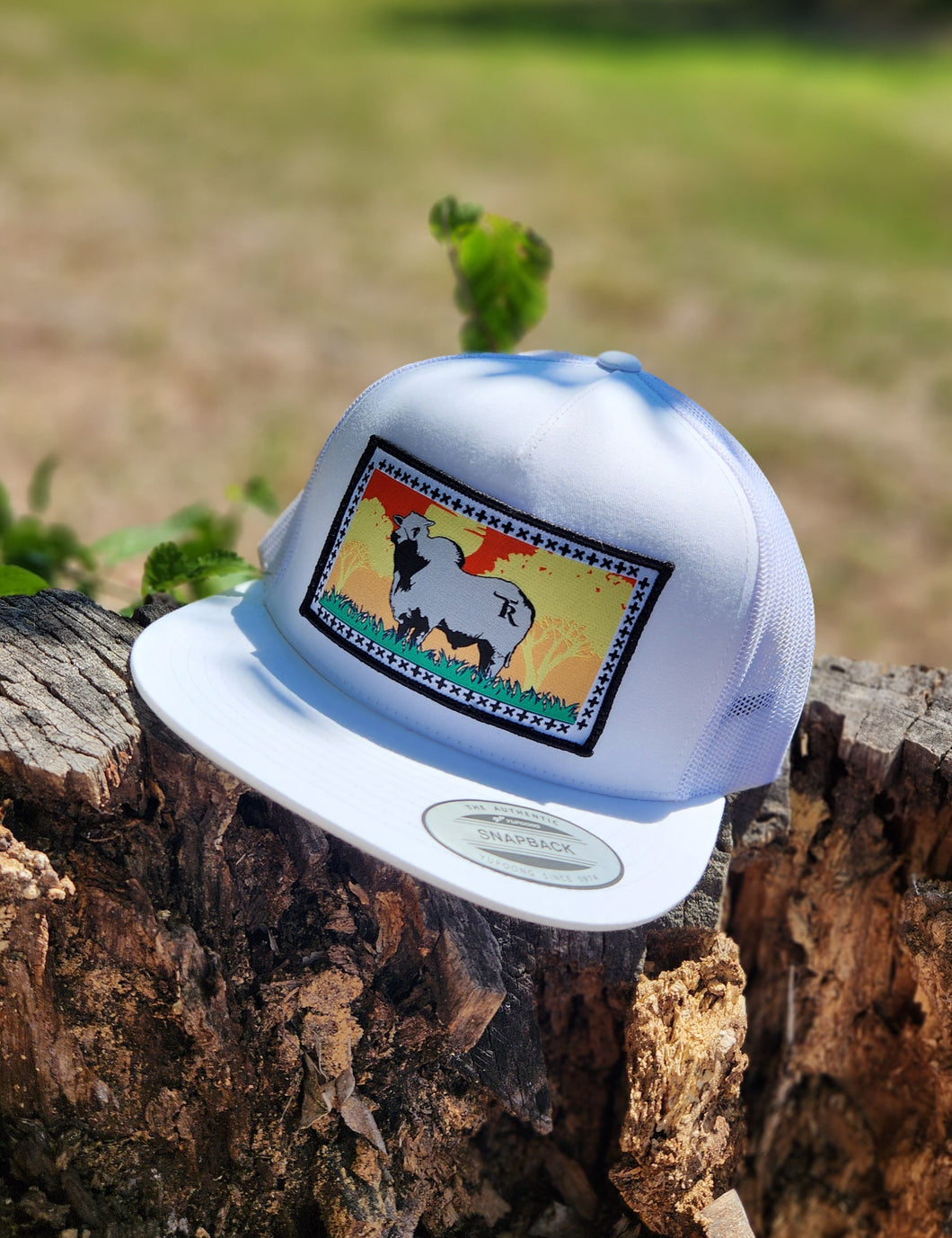 Rancho Texas El Plateado Bull-White/White