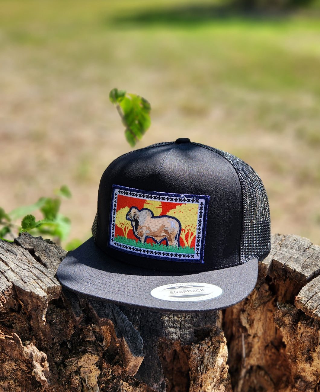 Rancho Texas El Napolitano Bull - Black/Black